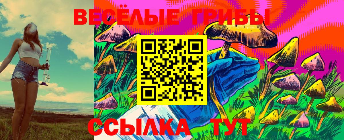Галлюциногенные грибы ЛСД Донской