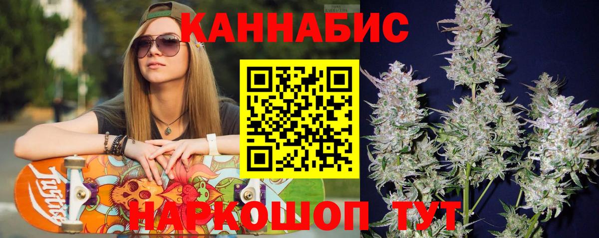 Канабис планчик Донской